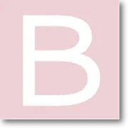 Bridal Studio logo