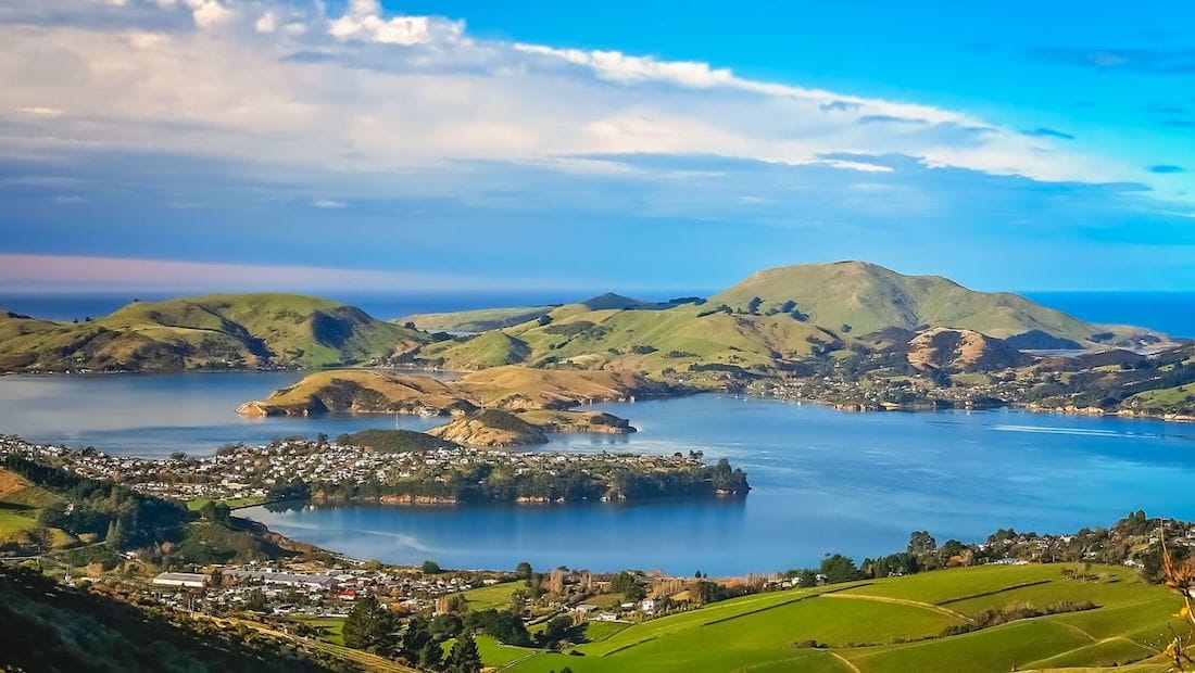 Dunedin wedding venues